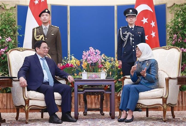 Le Premier ministre vietnamien rencontre la presidente singapourienne hinh anh 2