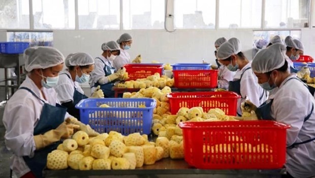 La Chine delivre 435 codes pour des entreprises d'exportation du Vietnam hinh anh 1