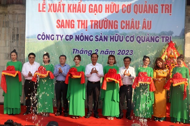 Quang Tri exporte le premier lot de riz bio vers l’Europe hinh anh 1