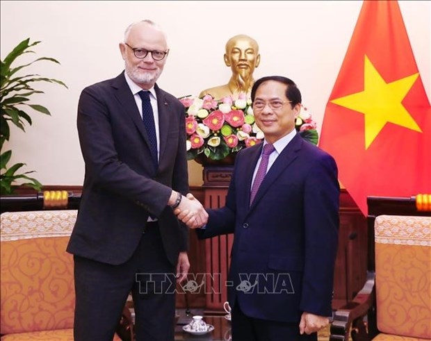 Le ministre des AE Bui Thanh Son recoit l'ancien PM francais Edouard Philippe hinh anh 1