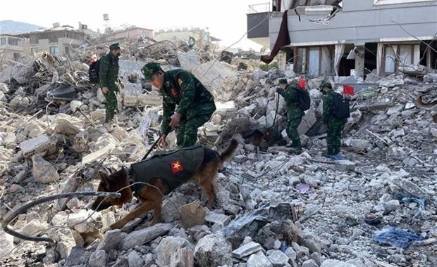 Seisme en Turquie: des militaires vietnamiens identifient trois emplacements avec des victimes hinh anh 1