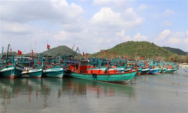 Le Vietnam publie un plan d’action pour lutter contre la peche INN hinh anh 1