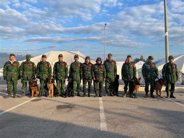 Les chiens renifleurs du Vietnam obtiennent des resultats positifs lors d'un sauvetage en Turquie hinh anh 1