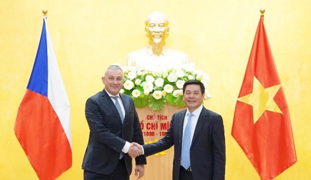 Le Vietnam et la Republique tcheque disposent d’un grand potentiel de cooperation hinh anh 1