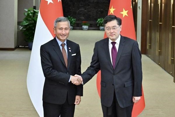 Singapour s'attend a une cooperation renforcee avec la Chine hinh anh 1