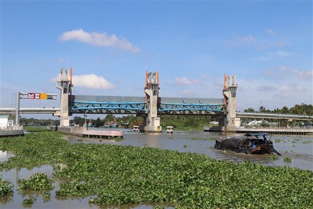 L’intrusion saline s’accentuera en mars dans le delta du Mekong hinh anh 2
