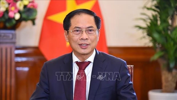 Le ministre des Affaires etrangeres recoit un dirigeant de la province chinoise du Hainan hinh anh 1