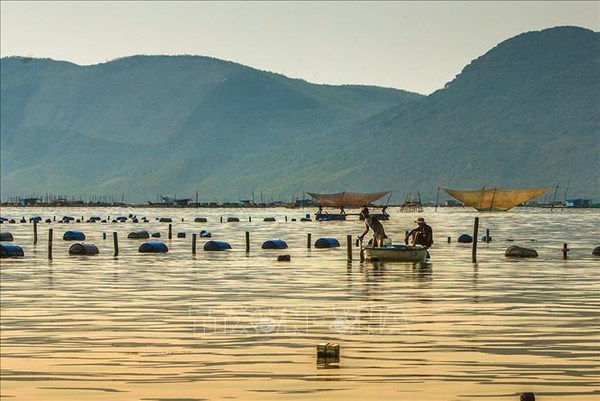Indonesie : des experts appellent a appliquer le modele vietnamien pour developper l’aquaculture hinh anh 1