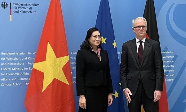 Deuxieme reunion du Comite mixte de cooperation economique Vietnam-Allemagne hinh anh 1