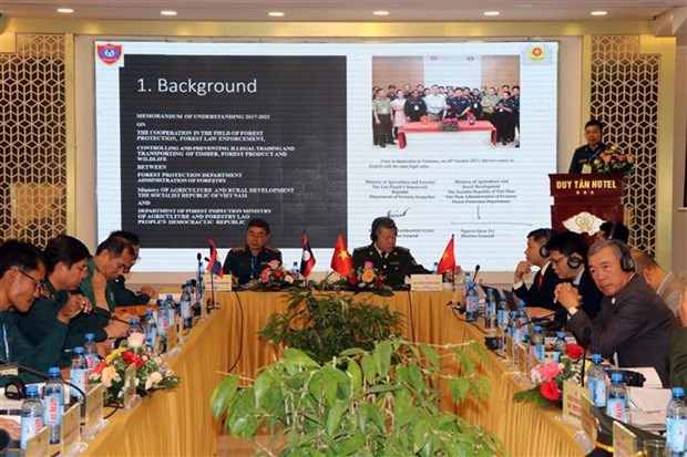 Le Vietnam et le Laos renforcent leur coordination dans la protection des forets hinh anh 1