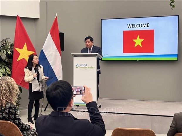 Le Vietnam et les Pays-Bas renforcent leur cooperation dans l’agriculture intelligente hinh anh 1