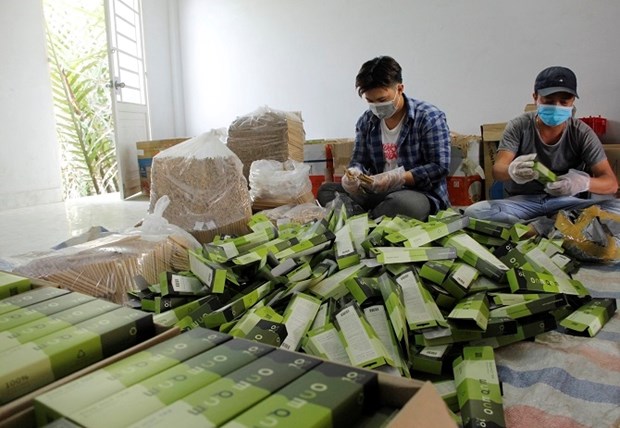 L'exportation de feuilles de bambou et de bananier rapporte des millions de dollars hinh anh 1