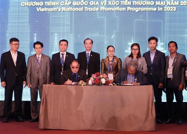 La 12e Conference internationale de noix de cajou a Ho Chi Minh-Ville hinh anh 1