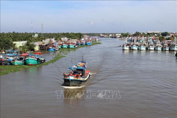 La province de Kien Giang lutte resolumment contre la peche INN hinh anh 1