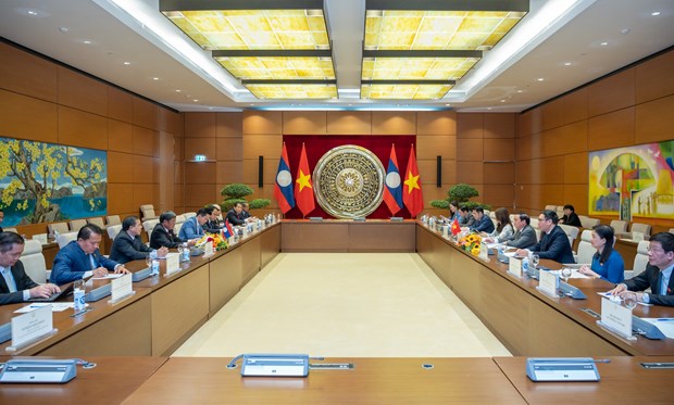 Les Assemblees nationales du Vietnam et du Laos consolident leurs liens hinh anh 1