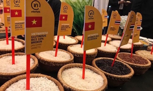 Conditions favorables pour les exportations de riz du Vietnam hinh anh 1