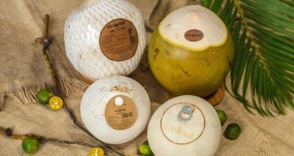 Les exportations de produits a base de noix de coco rapportent gros hinh anh 1