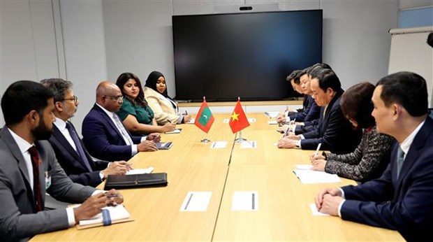 Le vice-PM Tran Luu Quang rencontre des representants de pays et organisations internationales hinh anh 1