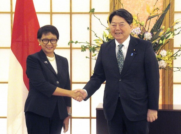 L'Indonesie et le Japon renforcent leur cooperation et leurs investissements hinh anh 1