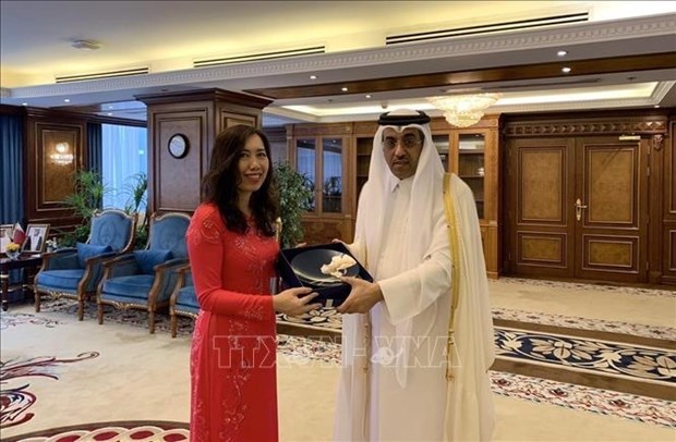 Vietnam et Qatar promeuvent une cooperation efficace hinh anh 1