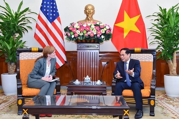 Le Vietnam apprecie la cooperation efficace avec l’USAID hinh anh 1