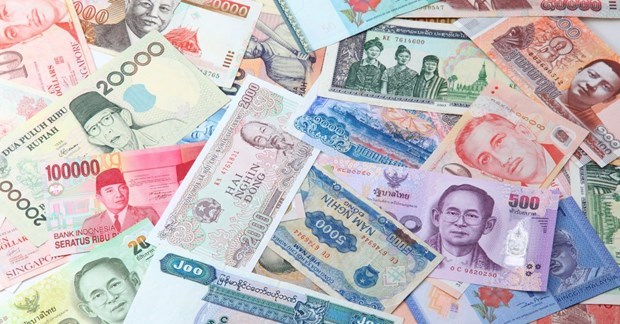 L'ASEAN ne donne pas la priorite a la monnaie commune hinh anh 1