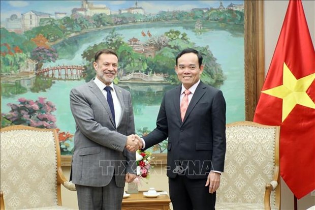 Le vice-PM Tran Luu Quang demande de bien organiser la celebration des relations Vietnam-Australie hinh anh 1