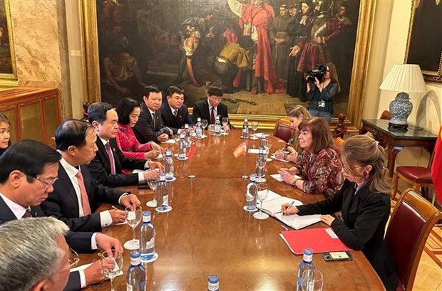 Le vice-president permanent de l'AN s'entretient avec des dirigeants du parlement espagnol hinh anh 1