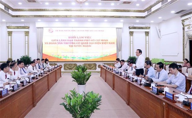 Des dirigeants de Ho Chi Minh-Ville rencontrent les chefs des organes de representation du Vietnam a l'etranger hinh anh 1