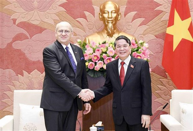 Vietnam et Pologne souhaitent renforcer la cooperation multiforme hinh anh 2