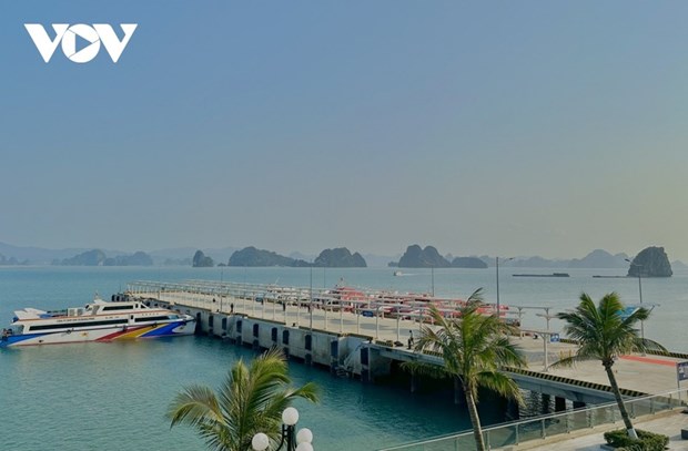 Quang Ninh lancera deux nouveaux circuits touristiques sur la baie de Bai Tu Long hinh anh 1
