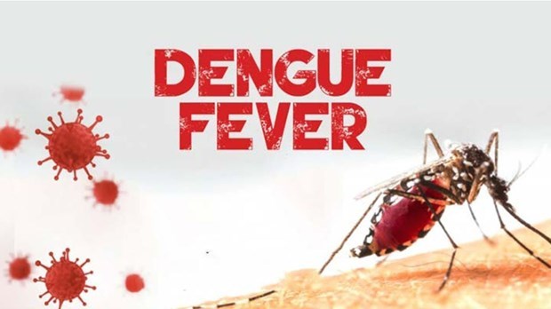 Le Laos renforce la prevention et la lutte contre la dengue hinh anh 1