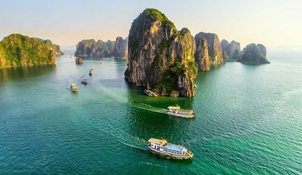 Le Vietnam promeut le tourisme sur le marche japonais hinh anh 1