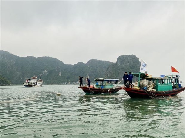 Collecte de bouees flottantes en polystyrene en baie d’Ha Long hinh anh 1
