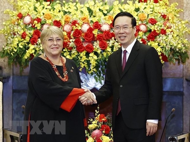 Le president Vo Van Thuong recoit l'anciennne presidente du Chili hinh anh 2