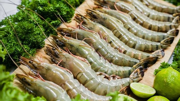 Le Vietnam, premier fournisseur de crevettes en R. de Coree hinh anh 1