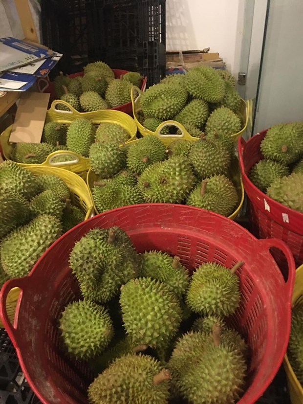 Le durian plus que jamais recherche par le marche chinois hinh anh 1