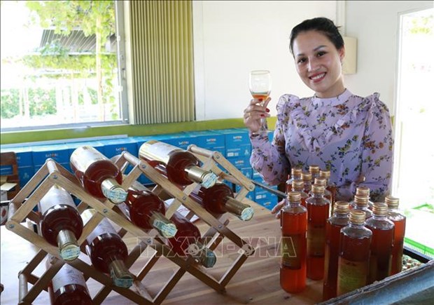 Le festival du raisin et du vin de Ninh Thuan prevu en juin prochain hinh anh 2