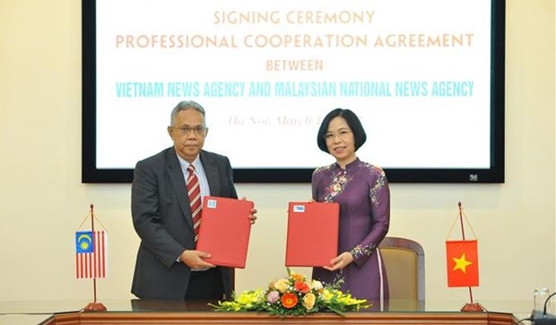 Vietnam-Malaisie: deux agences de presse nationales disposent d'un enorme potentiel de cooperation hinh anh 1
