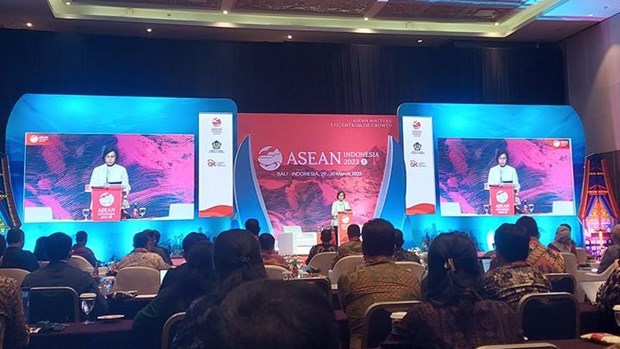 L'ASEAN face au defi de l'exclusion financiere, selon un ministre indonesien hinh anh 1