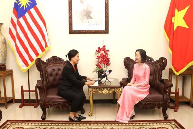 Developpement des relations Vietnam-Malaisie dans divers domaines hinh anh 2