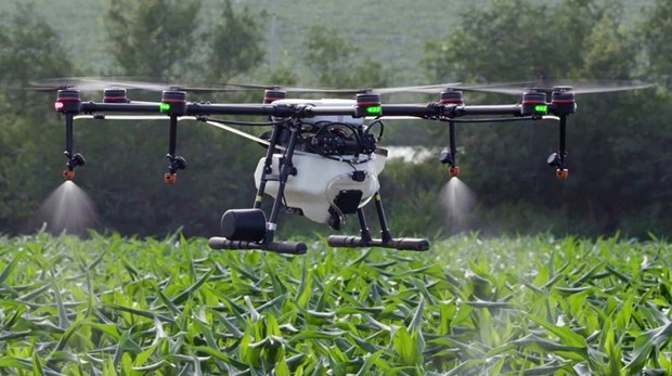 Hanoi promeut l’utilisation des drones dans la production agricole hinh anh 1