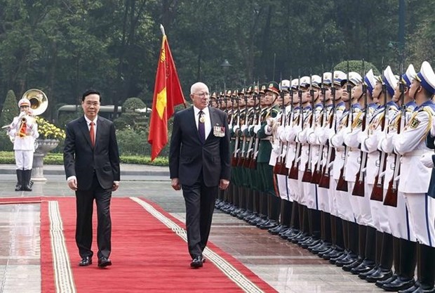 Le president Vo Van Thuong s’entretient avec le gouverneur general d’Australie David Hurley hinh anh 1