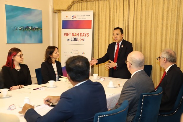 Promouvoir la cooperation entre le Vietnam et les ONG britanniques hinh anh 1