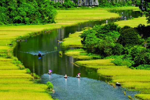 Forbes : Ninh Binh parmi les 23 meilleurs endroits ou voyager en 2023 hinh anh 2