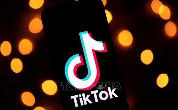 Le ministere de l’Information et des Communications prevoit une inspection de TikTok en mai hinh anh 1