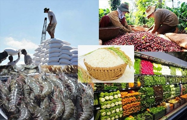 Le Vietnam vise 30 milliards de dollars d’exportations alimentaires par an hinh anh 1