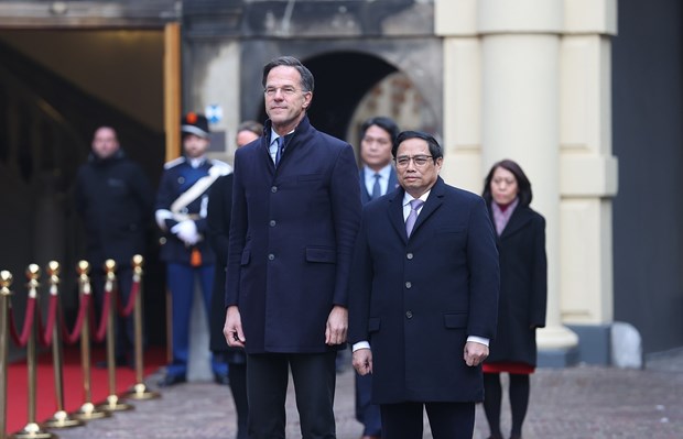 Le Vietnam et les Pays-Bas echangent leurs vœux a l’occasion des 50 ans de liens hinh anh 1