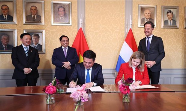 Avenir prometteur de la cooperation bilaterale Vietnam - Pays-Bas hinh anh 2