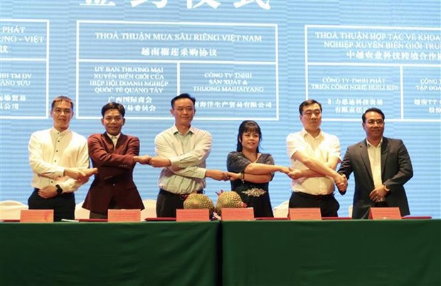 Promotion de la cooperation commerciale entre Ho Chi Minh-Ville et le Guangxi (Chine) hinh anh 1